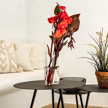 Birdie Beach House Apartment *